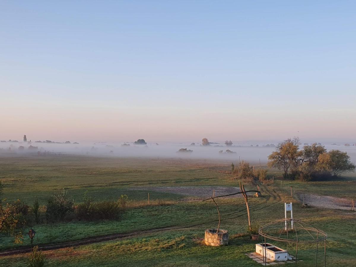 Zimmerei - Landgasthaus Karlo Illmitz Esterno foto