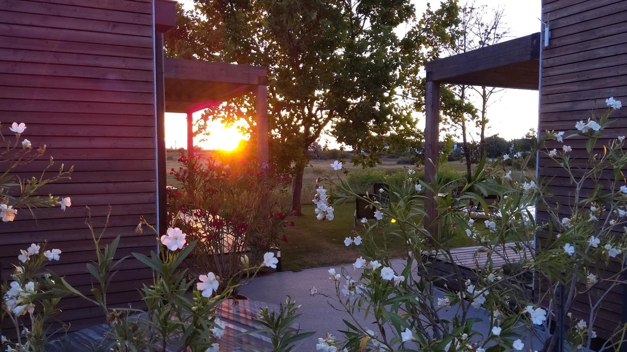 Zimmerei - Landgasthaus Karlo Illmitz Esterno foto